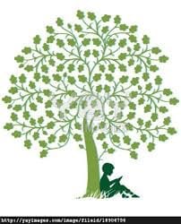 images-2_2_orig